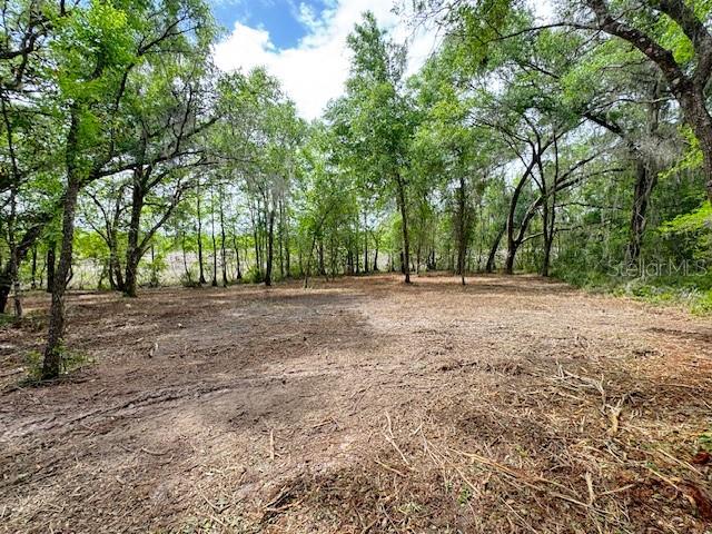 LOCUST RUN COURSE, OCALA, FL — photo 4 of 13