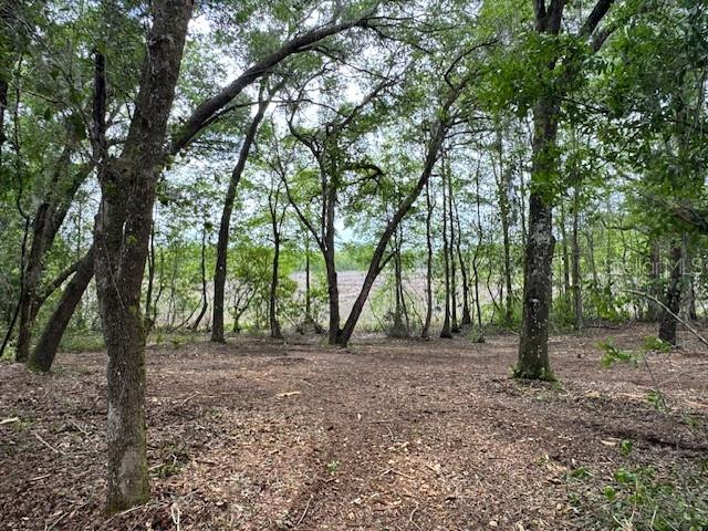 LOCUST RUN COURSE, OCALA, FL — photo 5 of 13