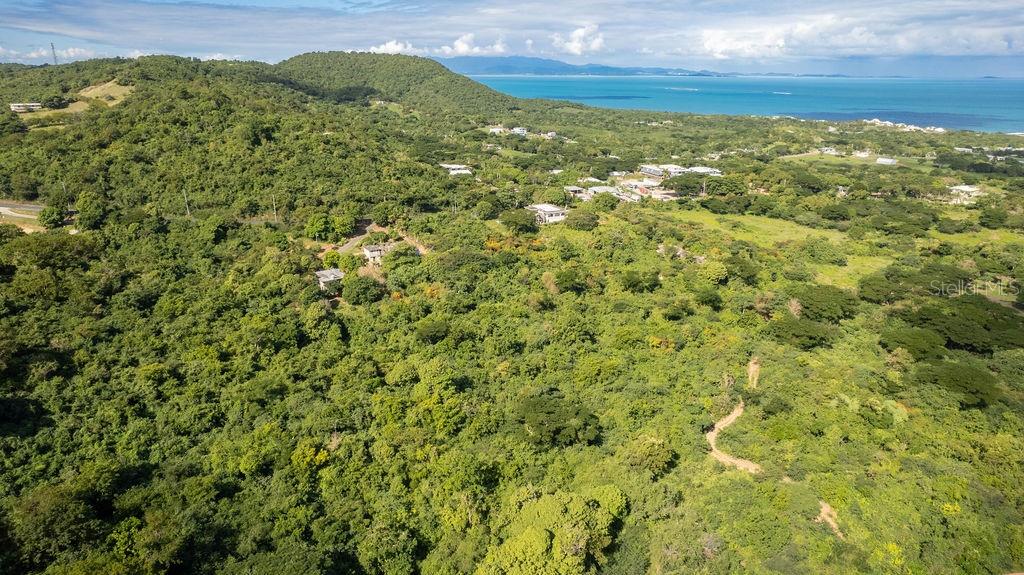 Ñ-16 PR-201, SECTOR FLORIDA, VIEQUES, PR — photo 2 of 18