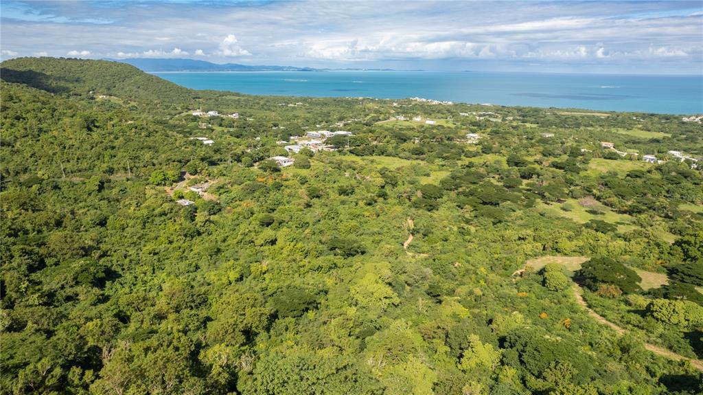 Ñ-16 PR-201, SECTOR FLORIDA, VIEQUES, PR — photo 3 of 18
