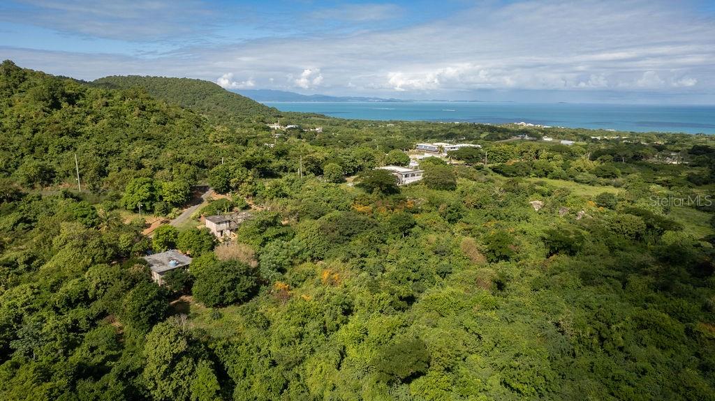 Ñ-16 PR-201, SECTOR FLORIDA, VIEQUES, PR — photo 4 of 18