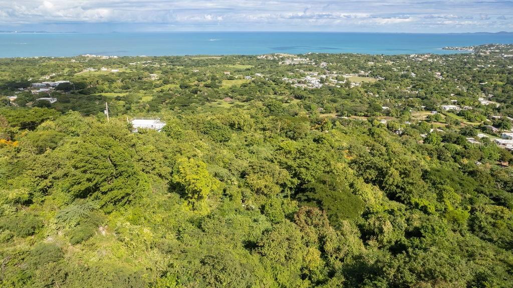 Ñ-16 PR-201, SECTOR FLORIDA, VIEQUES, PR — photo 5 of 18