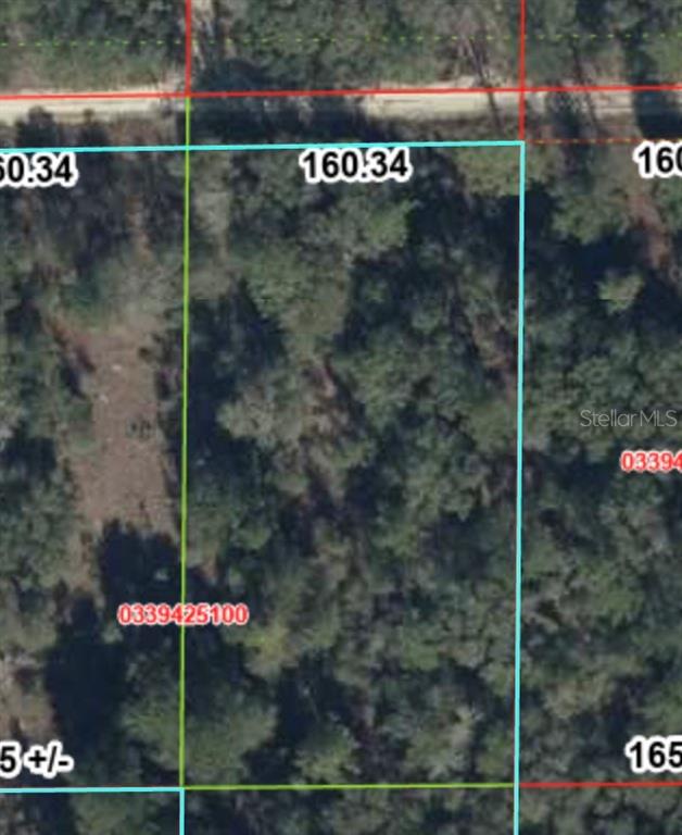 An aerial map view shows a rectangular plot of land outlined in light blue — TBD NE 83RD LANE, BRONSON, FL