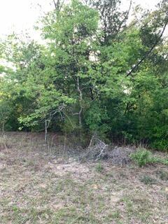 A view of a wooded area with trees and brush on a grassy lot — 0 Gardenia Drive, FL 32448, FL