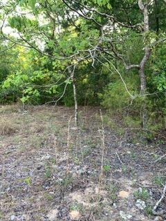 A wooded lot with scattered trees, dry brush, and rocky ground in a natural setting — 0 Gardenia Drive, FL 32448, FL