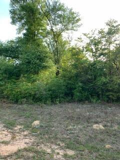 A view of a grassy, partially cleared lot bordered by a dense line of trees — 0 Gardenia Drive, FL 32448, FL