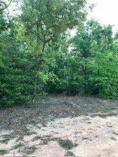 A wooded lot with a cleared dirt area in the foreground — 0 Gardenia Drive, FL 32448, FL