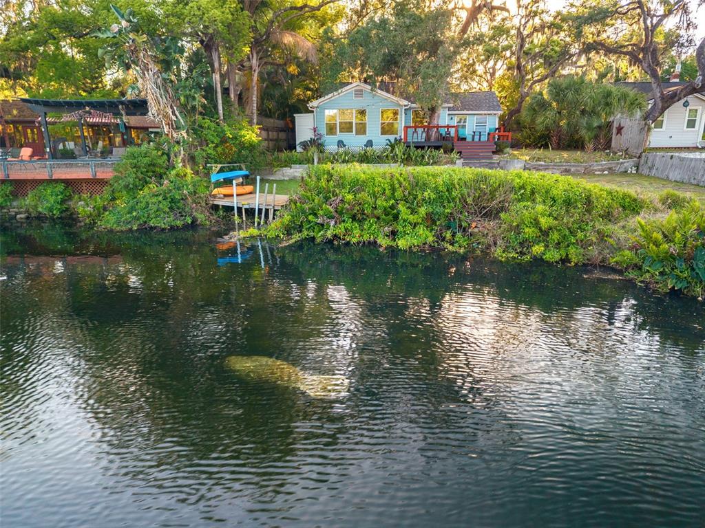 1502 E PARK CIRCLE, TAMPA, FL — photo 4 of 30