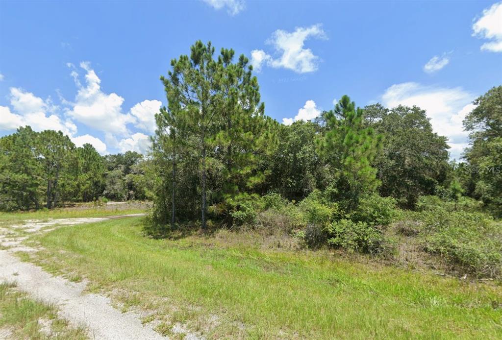A dirt path curves through a grassy field toward a cluster of trees and shrubs — Lot 10 TILHAL TERRACE, NORTH PORT, FL