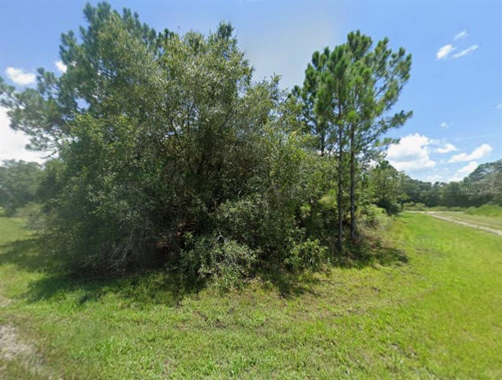 A grassy lot features a dense cluster of trees and shrubs under a blue sky — Lot 10 TILHAL TERRACE, NORTH PORT, FL