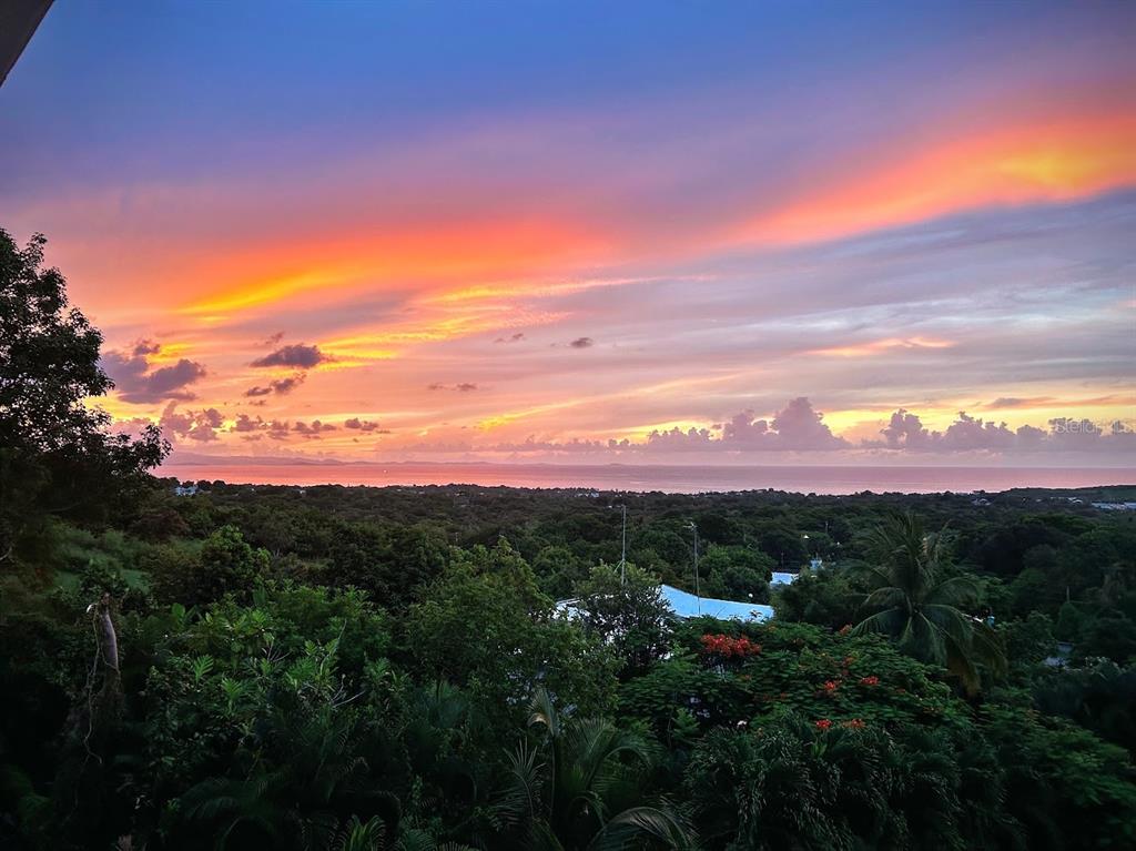76 MAR VISTA, VIEQUES, PR — photo 5 of 30
