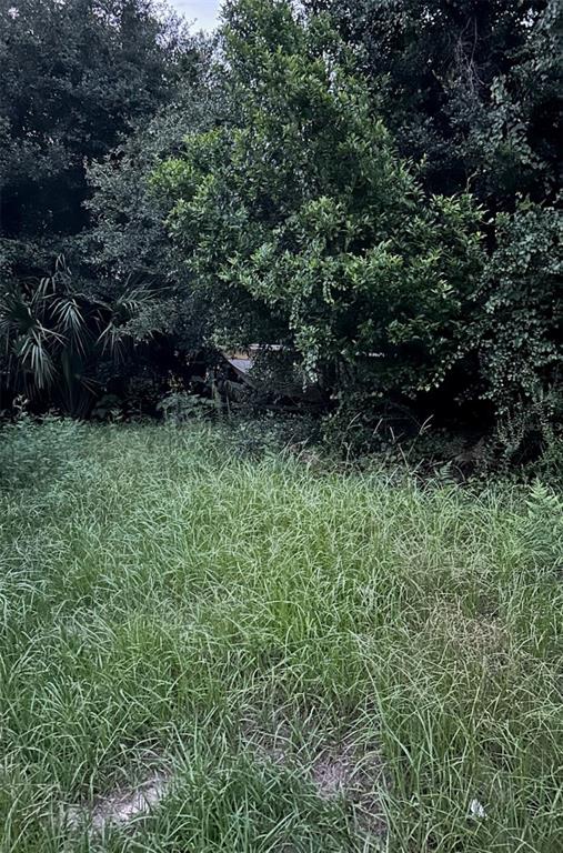 SE 135 LANE, UMATILLA, FL — photo 2 of 4