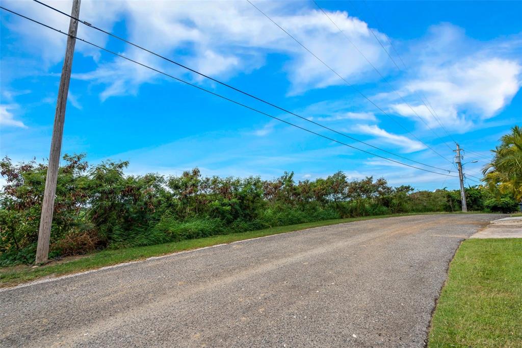 A paved road runs alongside a grassy area with a line of trees and utility poles — 5 #44 URB. EL MONTE 4TA EXTENSIÓN, PONCE, PR