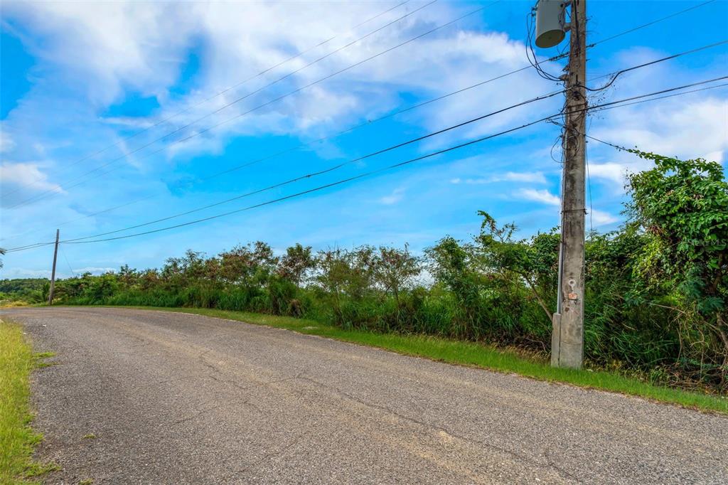 A paved road runs alongside a grassy lot with a utility pole and dense vegetation — 5 #44 URB. EL MONTE 4TA EXTENSIÓN, PONCE, PR
