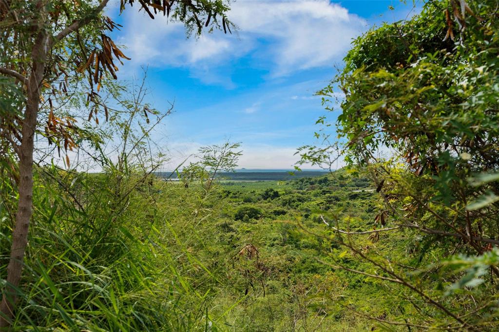 A view of a lush green landscape and distant ocean framed by trees and foliage — 5 #44 URB. EL MONTE 4TA EXTENSIÓN, PONCE, PR