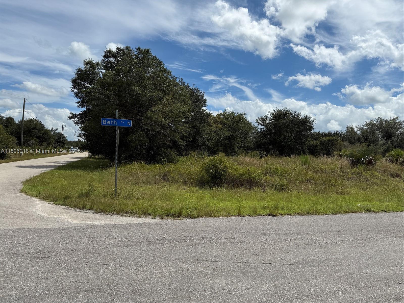 A street sign for Beth Av N stands at the corner of a grassy, undeveloped lot — OTHER CITY - IN THE STATE OF FLORIDA, FL