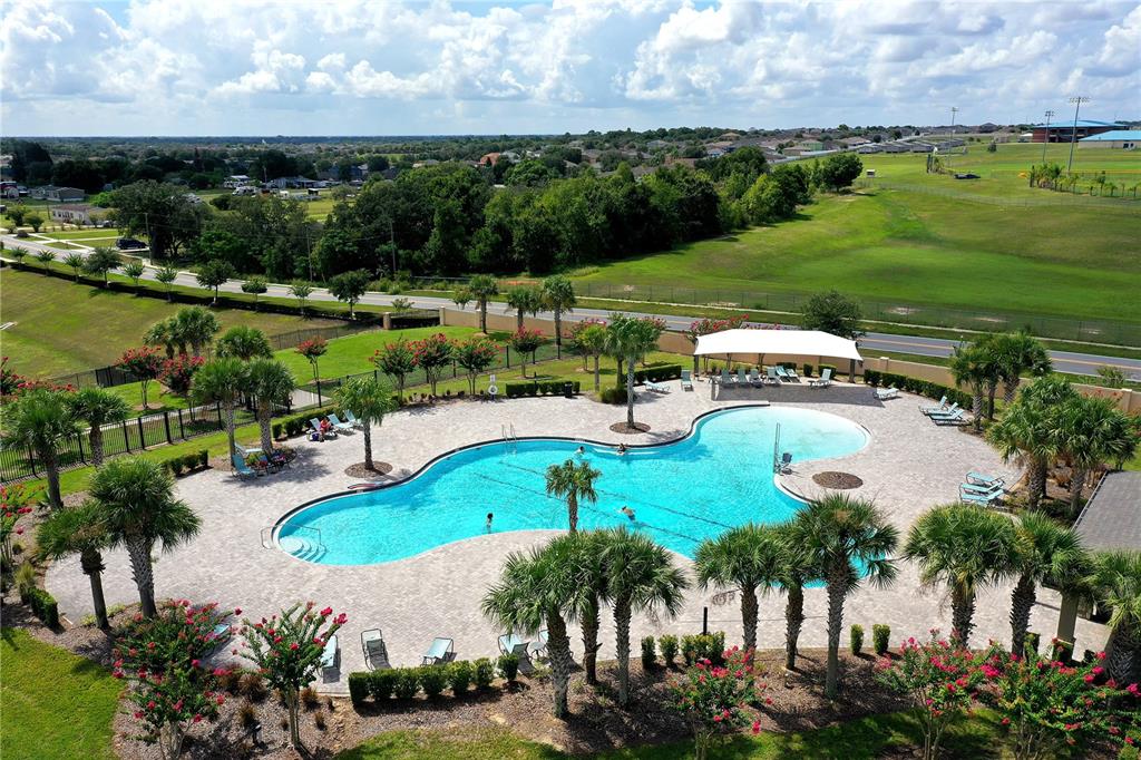 An aerial view of a community swimming pool surrounded by palm trees and lounge chairs — 236 DENALI STREET, HAINES CITY, FL