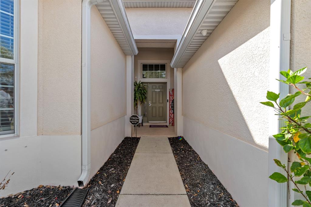 A concrete walkway leads to a covered entryway with a green front door — 10207 AVELAR RIDGE DRIVE, RIVERVIEW, FL
