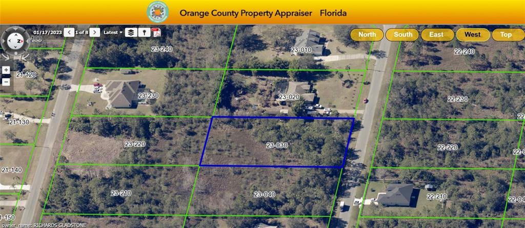 This is an aerial map showing a vacant, wooded residential lot outlined in blue — ODHAM STREET, ORLANDO, FL