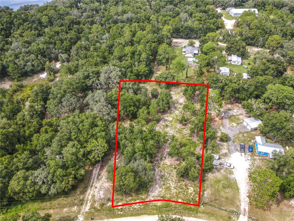 An aerial view shows a rectangular plot of land outlined in red amidst wooded surroundings — 114 PLANTATION WAY, HAWTHORNE, FL
