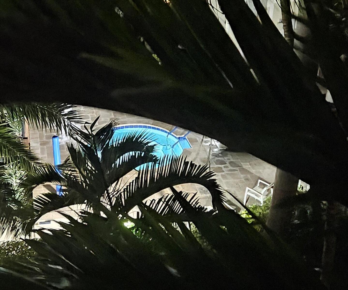 A view of a lit swimming pool at night framed by palm tree fronds — 700 E Boynton Beach Boulevard # 407, Boynton Beach FL 33435, BOYNTON BEACH, FL
