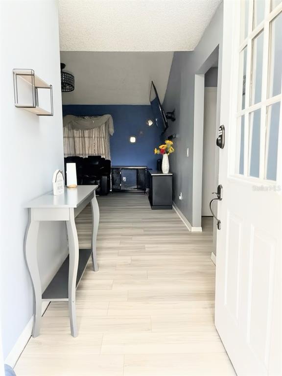 An entryway leads into a living room with light wood-look flooring and blue walls — 2115 SHADY POINT LANE, BRANDON, FL