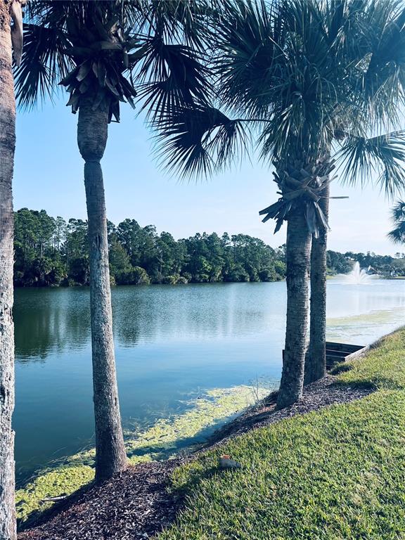 A view of a lake with a fountain, framed by palm trees on a grassy bank — 91 EMERALD LAKE DRIVE, PALM COAST, FL