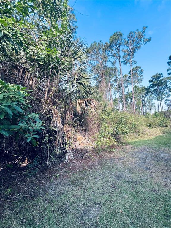 A grassy area borders a dense thicket of trees, shrubs, and palm fronds — 91 EMERALD LAKE DRIVE, PALM COAST, FL