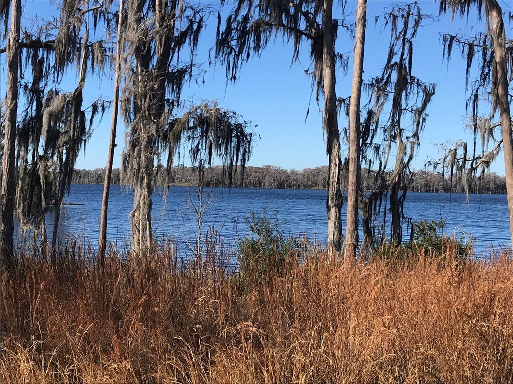 A view of a lake framed by trees with Spanish moss and tall dry grass — PARCEL 2 N FORT CHRISTMAS ROAD, CHRISTMAS, FL