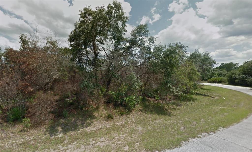 A wooded, undeveloped residential lot sits next to a paved road under a cloudy sky — 610 MEDITERRANEAN COURT, POINCIANA, FL