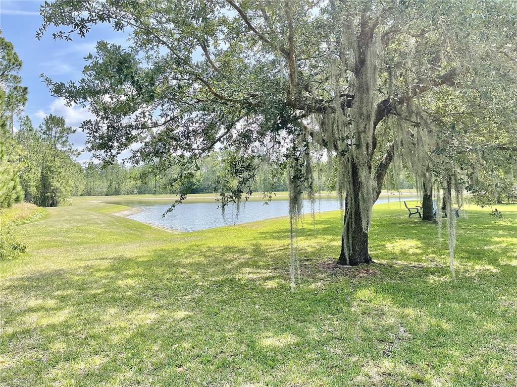 A large oak tree with Spanish moss stands on a grassy lawn beside a pond — 8321 GREENBANK BOULEVARD, WINDERMERE, FL
