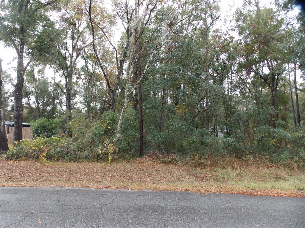 6660 E HAYNES LANE, INVERNESS, FL — photo 2 of 3