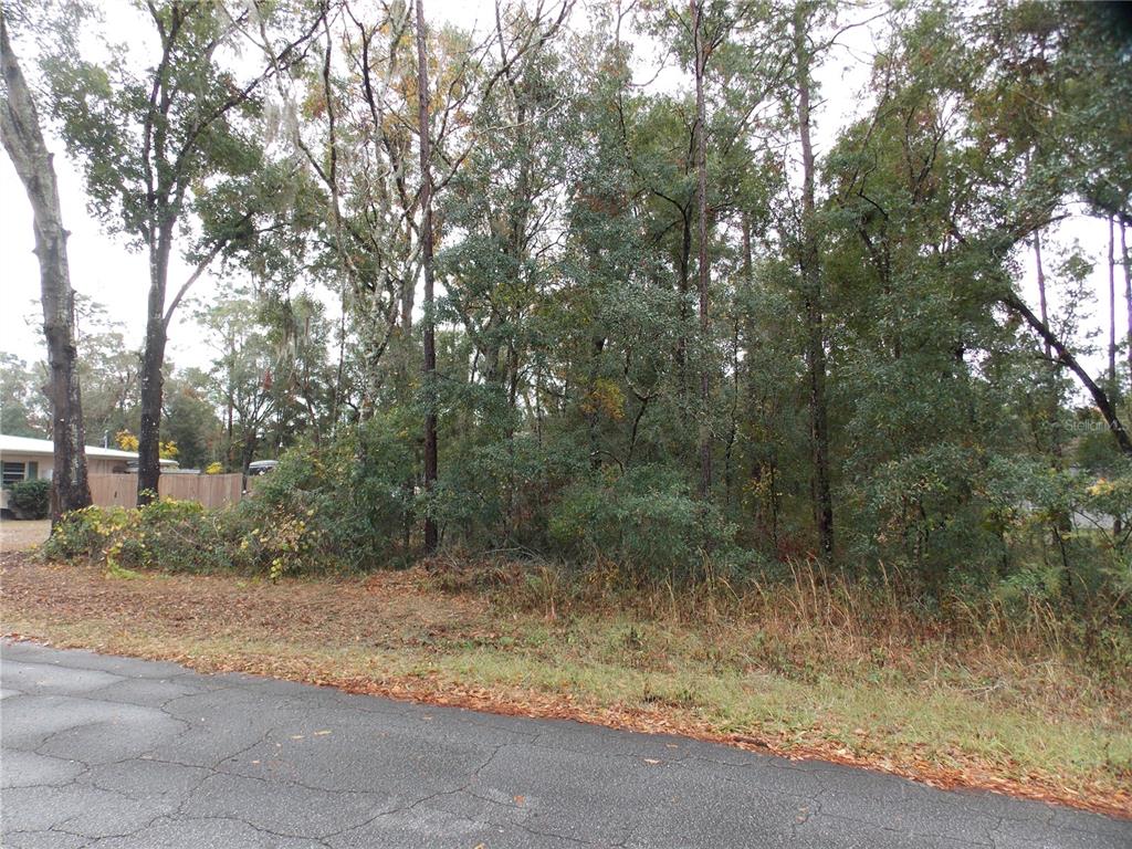 6660 E HAYNES LANE, INVERNESS, FL — photo 3 of 3
