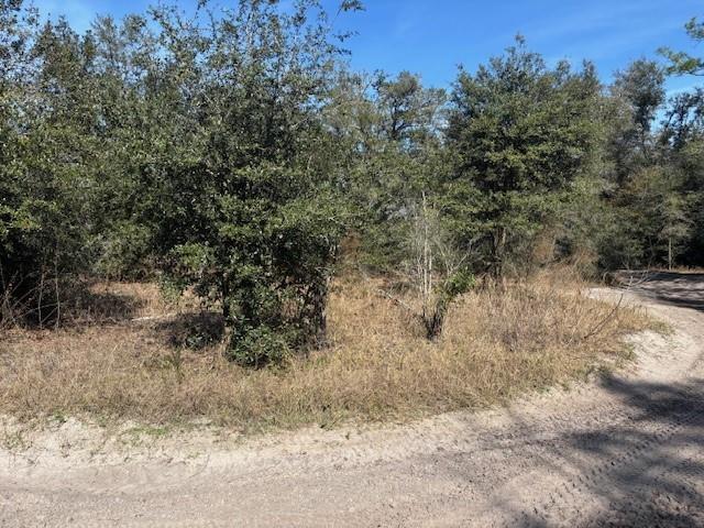 0 County Rd 54, FL 33849, FL — photo 2 of 4