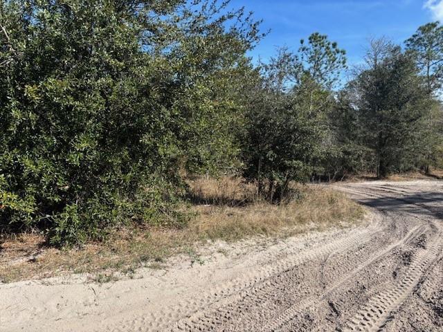 0 County Rd 54, FL 33849, FL — photo 3 of 4