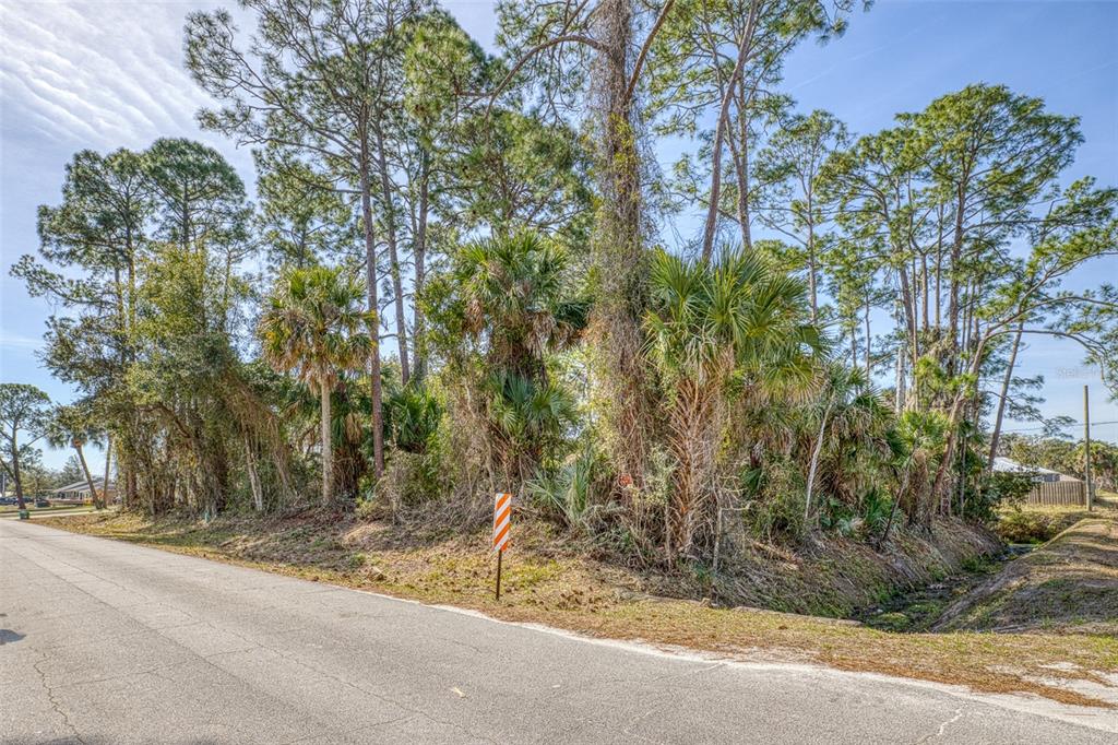 2904 INDIA PALM DRIVE, EDGEWATER, FL — photo 4 of 15