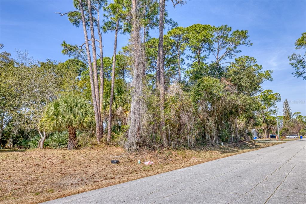 2904 INDIA PALM DRIVE, EDGEWATER, FL — photo 5 of 15