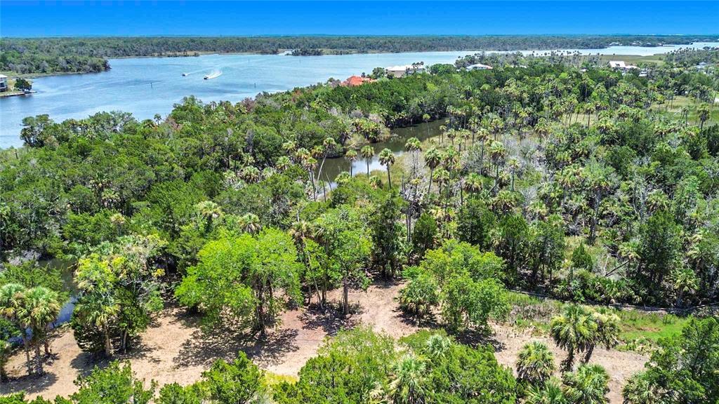 An aerial view of a wooded lot with palm trees near a river and homes — 11441 W BROWN PELICAN PATH, CRYSTAL RIVER, FL