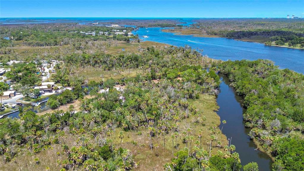 An aerial view shows a winding river flowing through a dense, wooded coastal landscape — 11441 W BROWN PELICAN PATH, CRYSTAL RIVER, FL