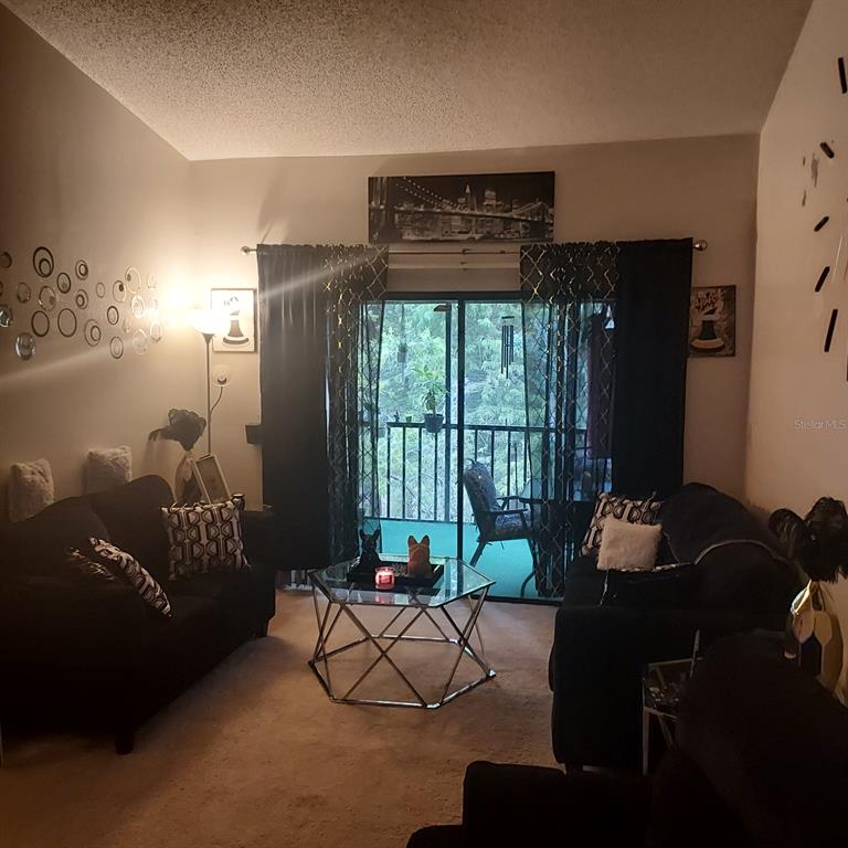 A living room features two dark sofas, a glass coffee table, and a sliding glass door — 4927 PURITAN CIRCLE UNIT 123, TAMPA, FL