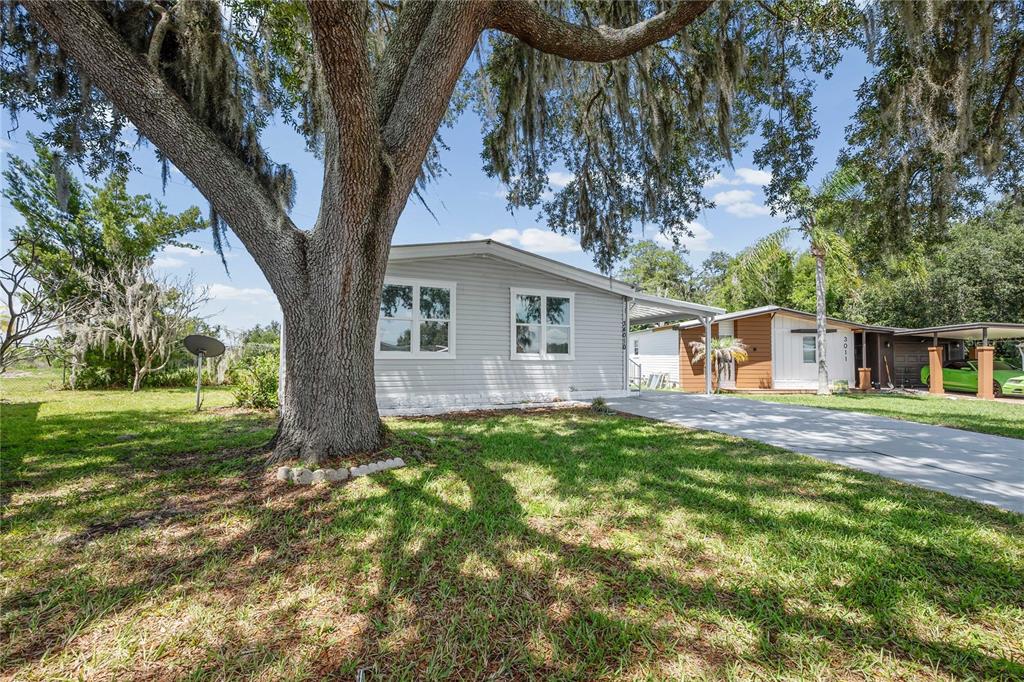A light gray mobile home with a large oak tree in the front yard — 34010 ESTATES LANE, WESLEY CHAPEL, FL