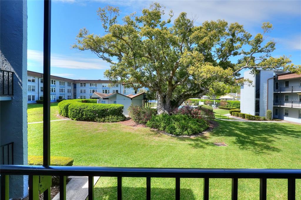A view from a balcony overlooking a grassy courtyard with a large tree and apartments — 333 LAKE HOWARD DRIVE NW UNIT 203C, WINTER HAVEN, FL