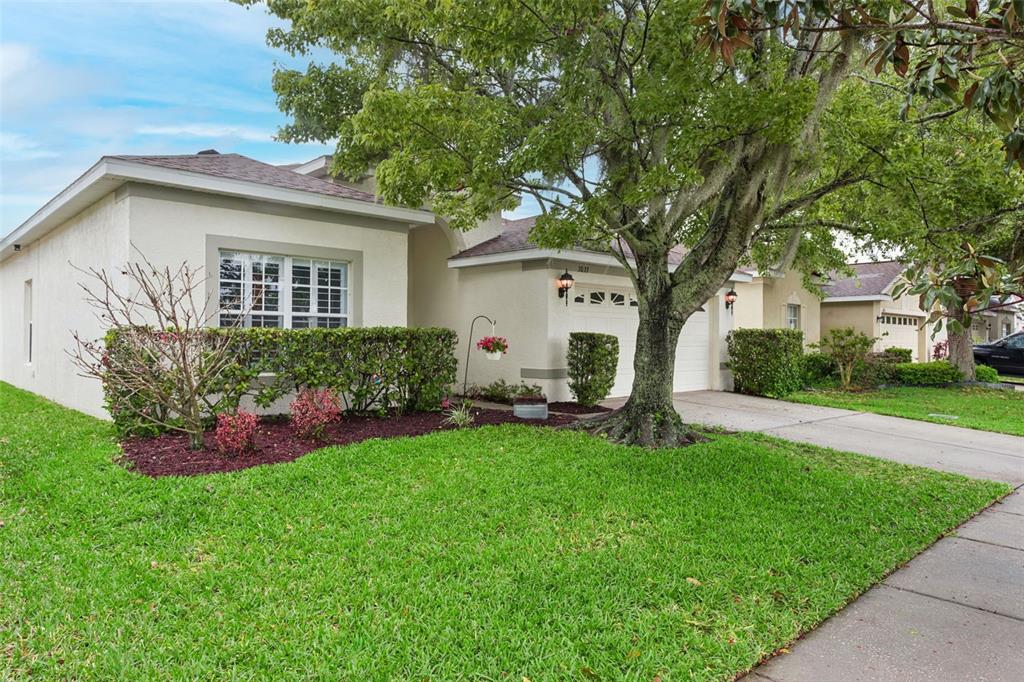 A single-story house with a white stucco exterior, a front lawn, and a large tree — 3033 GEM LUSTER COURT, VALRICO, FL