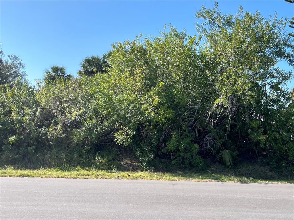 A dense thicket of trees and shrubs borders a paved road under a clear sky — 4231 ONEILL STREET, PORT CHARLOTTE, FL