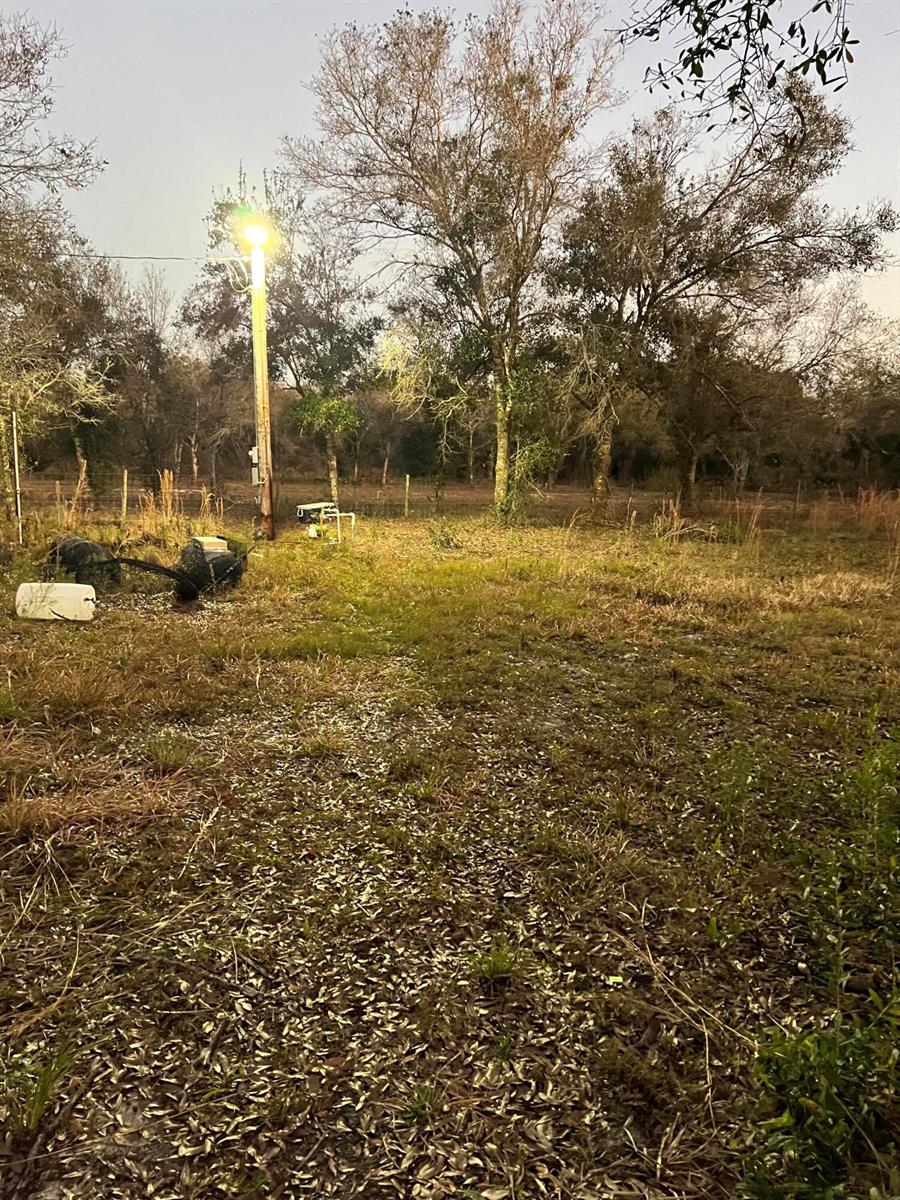 A utility pole with a bright light stands in a grassy, wooded outdoor lot — 18884 NW 282nd Street, Okeechobee FL 34972, OKEECHOBEE, FL