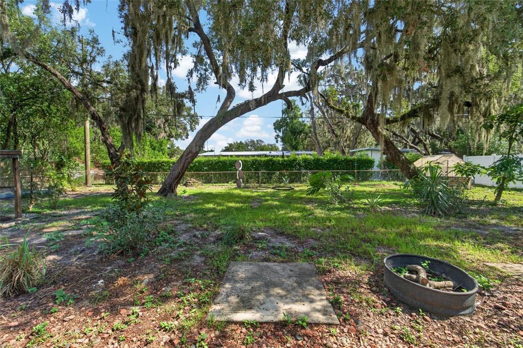 A backyard features a fire pit, a concrete pad, and large trees with Spanish moss — 408 BERWICK AVENUE, TEMPLE TERRACE, FL