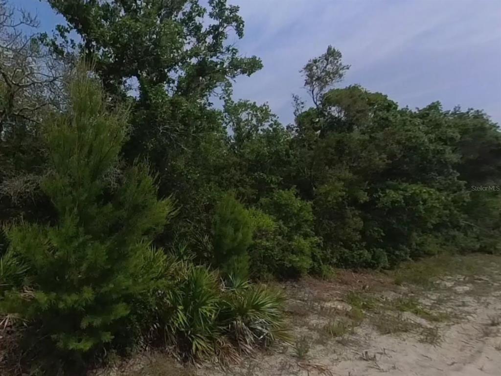 A wooded lot with sandy ground and dense vegetation under a cloudy sky — 0 RIEGEL (PAPER) AVENUE, ORANGE CITY, FL