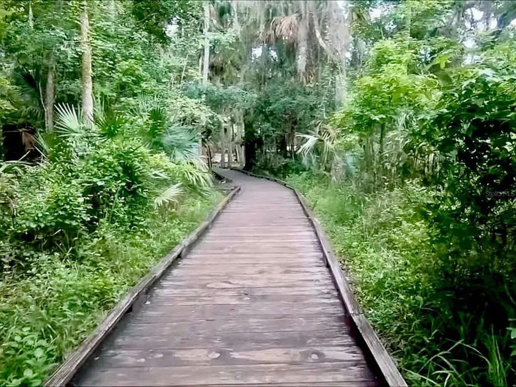 A wooden boardwalk path winds through a lush, green forest with dense trees and foliage — 0 RIEGEL (PAPER) AVENUE, ORANGE CITY, FL