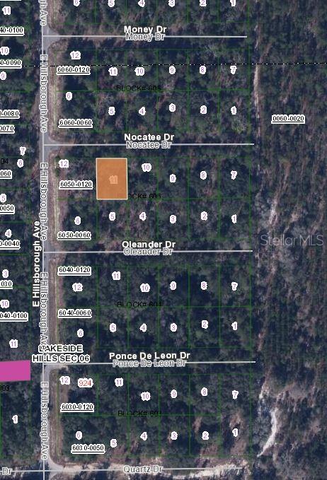 103 NOCATEE DRIVE, FLORAHOME, FL — photo 2 of 3