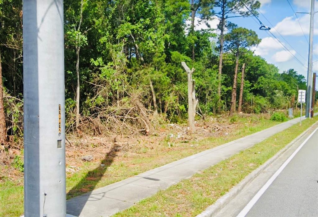 A concrete utility pole stands beside a sidewalk bordering a wooded, undeveloped plot of land — 650-700 N CLYDE MORRIS BOULEVARD, DAYTONA BEACH, FL